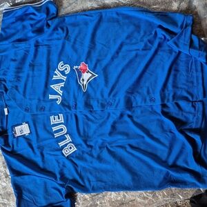 Blue Jays Men's Team Jersey - Blue